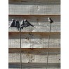 Tuinsteker Vogels