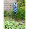Tuinsteker Hyacint Blauw