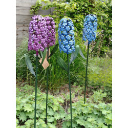 Tuinsteker Hyacint Blauw