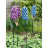 Tuinsteker Hyacint Blauw