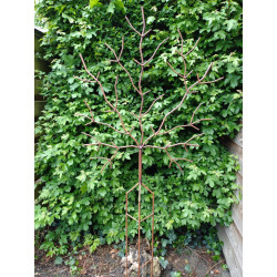 Decoratieve Roestige Boom