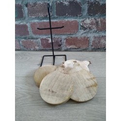 Onderzetters Van Hout Met Standaard